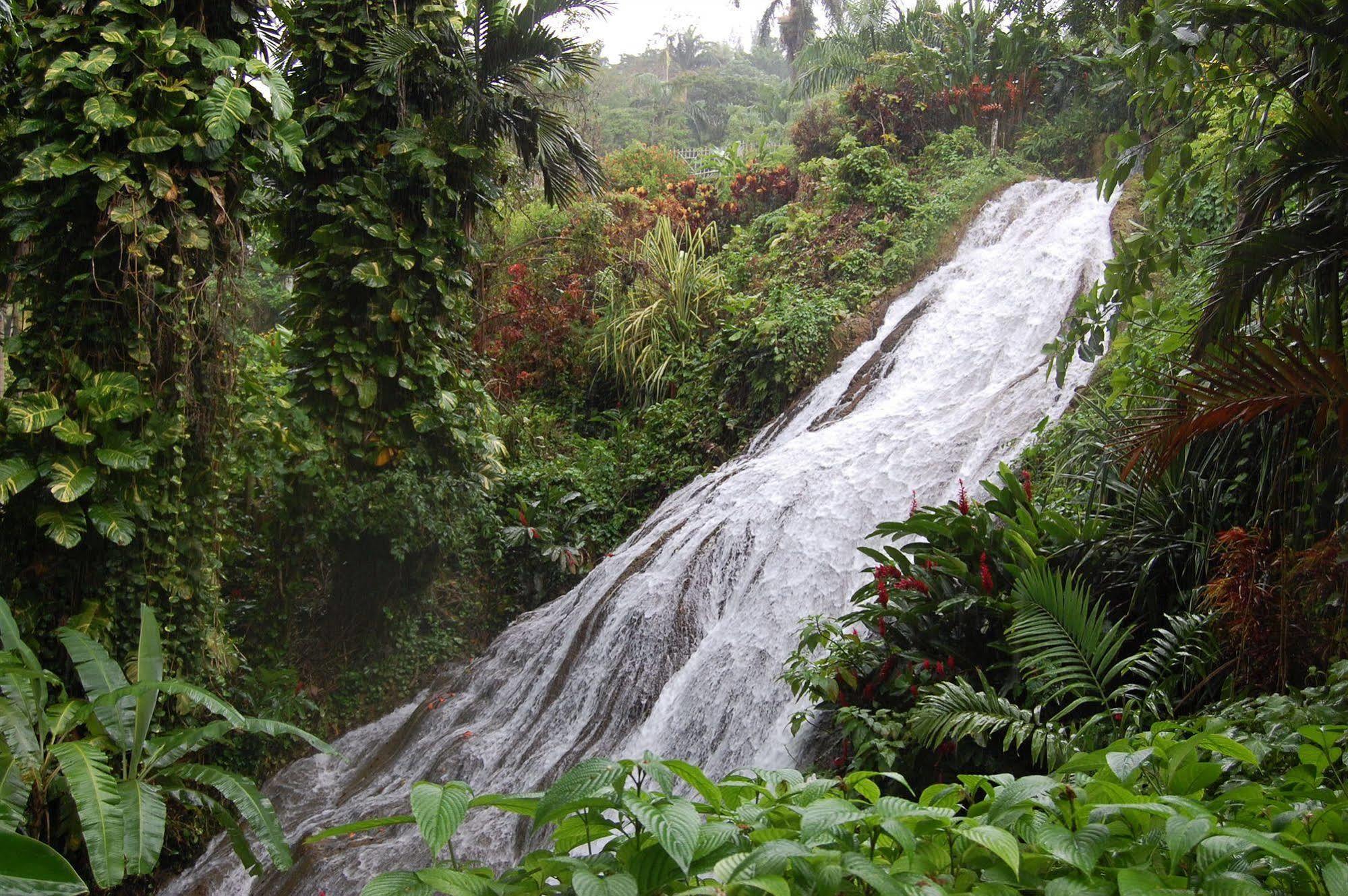 Inn At Shaw Park Gardens & Waterfalls Очо-Риос Экстерьер фото